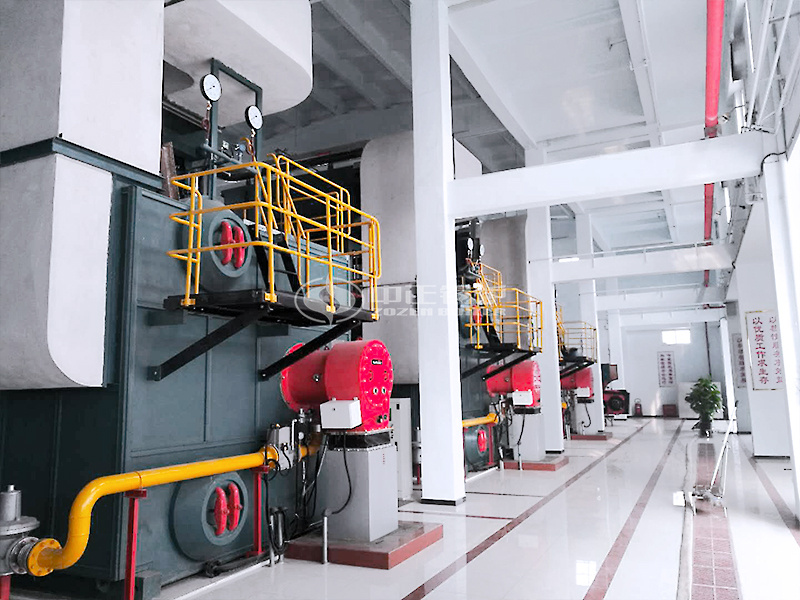 14MW SZS系列冷凝式燃?xì)鉄崴仩t項目